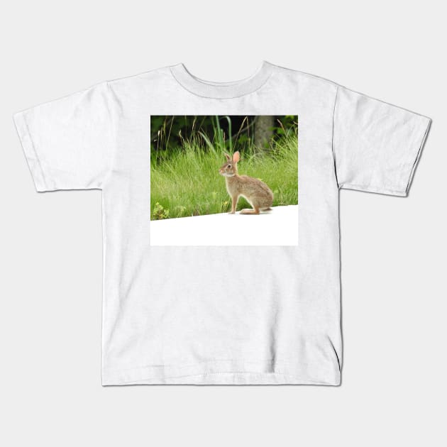 Cottontail rabbit, wild animals, wildlife gifts Kids T-Shirt by sandyo2ly